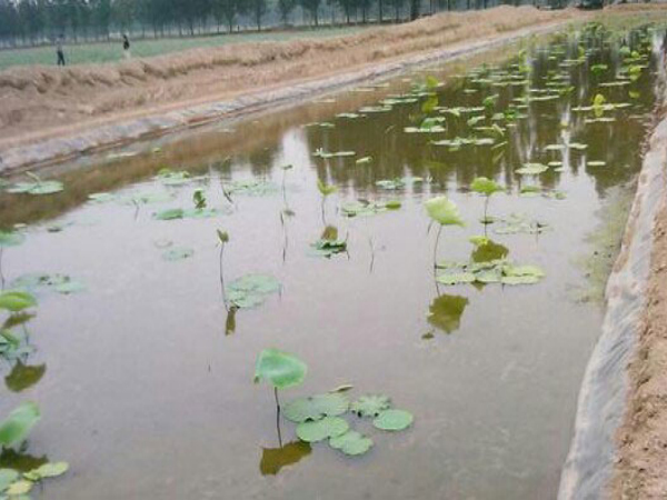 中恒澤控股集團有限公司